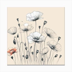 Poppies flowers Canvas Print