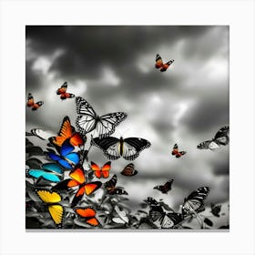Butterfly Stock Videos & Royalty-Free Footage Canvas Print