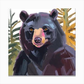 Black Bear 04 Canvas Print