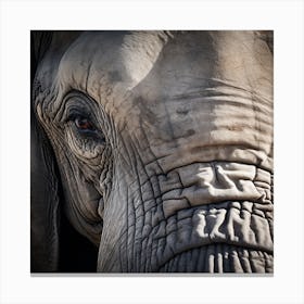 Elephant Photo 1 Canvas Print