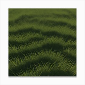 Grass Field 11 Canvas Print