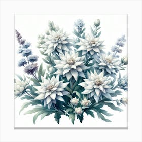 Flowers of Edelweiss 2 Canvas Print