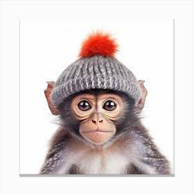 Monkey In Hat Canvas Print