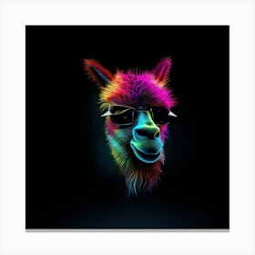 Rainbow Llama 3 Toile