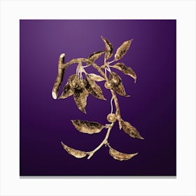 Gold Botanical Cherry on Royal Purple n.0585 Canvas Print