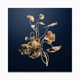 Gold Botanical Monks Cress on Midnight Navy n.1104 Canvas Print