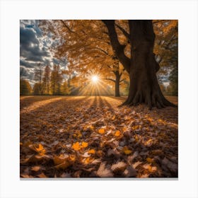 Autumn Beams Canvas Print