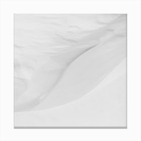 Snowscape II Canvas Print
