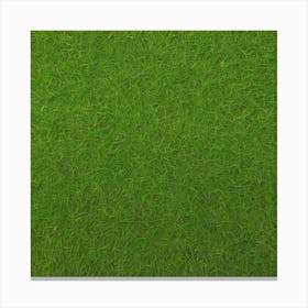 Green Grass 16 Canvas Print