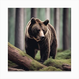 Brown Bear In The Forest 3 Canvas Print