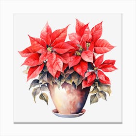 Poinsettia In A Pot 4 Canvas Print