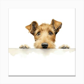 Irish Terrier 11 Canvas Print