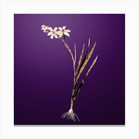Gold Botanical Gladiolus on Royal Purple n.3647 Canvas Print