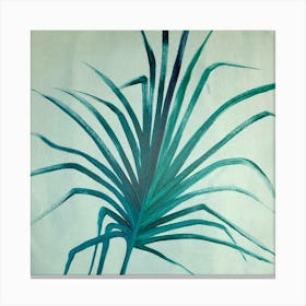 Palm Frond 1 Canvas Print