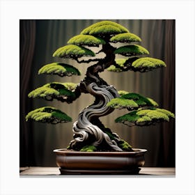 Bonsai Tree 6 Canvas Print