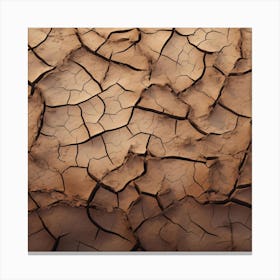 Cracked Earth 6 Canvas Print