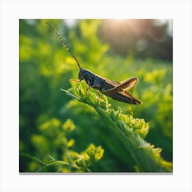 Grasshopper 67 Canvas Print