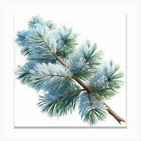 Watercolor Painting Of A Pine Branch Covered In Snow Canvas Print