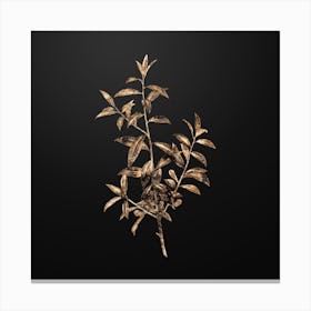 Gold Botanical Alabama Dahoon Branch on Wrought Iron Black n.4238 Canvas Print