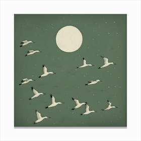 Flock of Seagulls Canvas Print