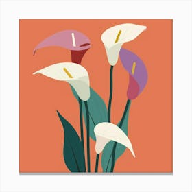 Calla Lily 3 Canvas Print