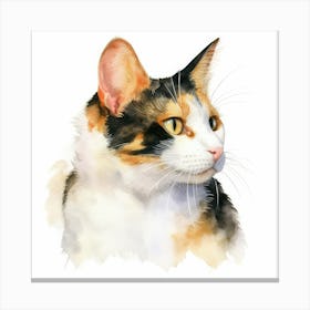 Japanese Bobtail Cat Portrait 3 Canvas Print
