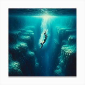 Into the water Canvas Print