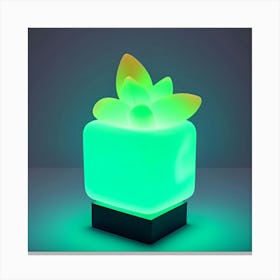 Succulent Night Light Canvas Print