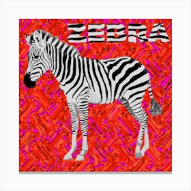 Zebra Square Canvas Print