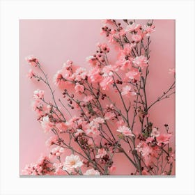 Pink Cherry Blossoms On Pink Background Canvas Print