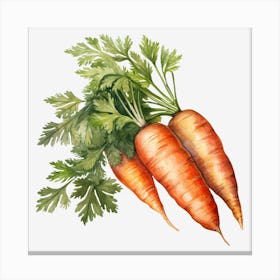 Carrots 3 Canvas Print