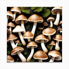 Mushrooms On A Black Background 6 Canvas Print