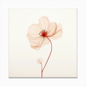 Poppy Flower 2 Canvas Print