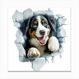 Bernese Mountain Dog 1 Canvas Print