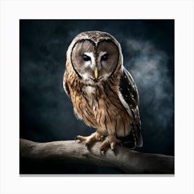 Owl Trending On Artstation Sharp Focus Studio Canvas Print