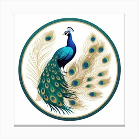 Peacock Canvas Print