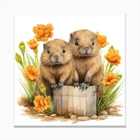 Beaver Couple Canvas Print