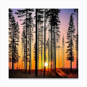 Sunset In The Pines Canvas Print