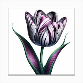 Purple Tulip 3 Canvas Print