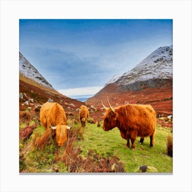 Highland Cows 3 Canvas Print