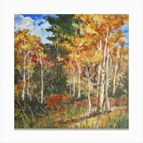 Birch forest Canvas Print