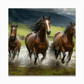 Horses Running In The Rain Canvas Print