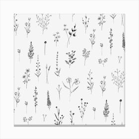 White Wildflowers Canvas Print