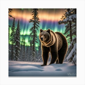 Aurora Borealis 2 Canvas Print