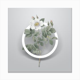 Vintage Twin Flowered White Rose Minimalist Botanical Geometric Circle on Soft Gray Canvas Print