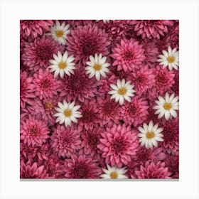 Pink Dahlias Canvas Print