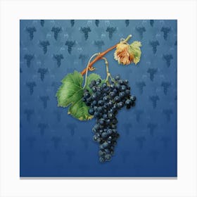 Vintage Grape Spanna Botanical on Bahama Blue Pattern n.0784 Canvas Print