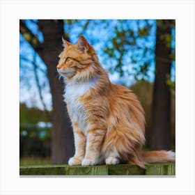 Orange Cat Sitting On Fence Canvas Print