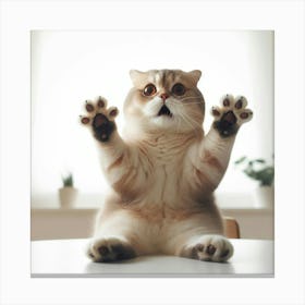 Cat With Paws Up 2 Canvas Print