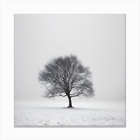 Lone Tree 1 Canvas Print